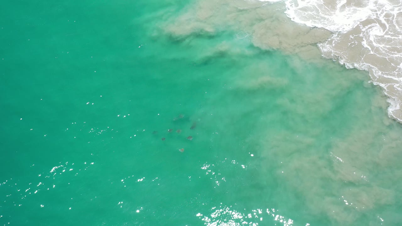 Overhead view of green ocean water in Los Cabos, Mexico, with pale sand clouding near the upper-right surf edge and no visible people.