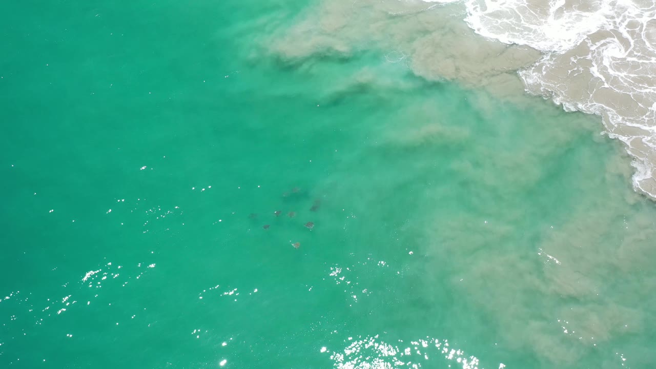 Aerial frame over Los Cabos green water, with scattered sunlight reflections across the lower half and white foam in the upper-right corner, no visible people.