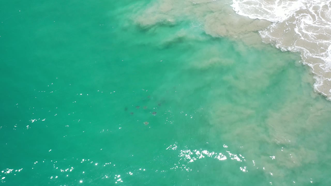 Green ocean surface with cloudy sand plume and surf foam at top right