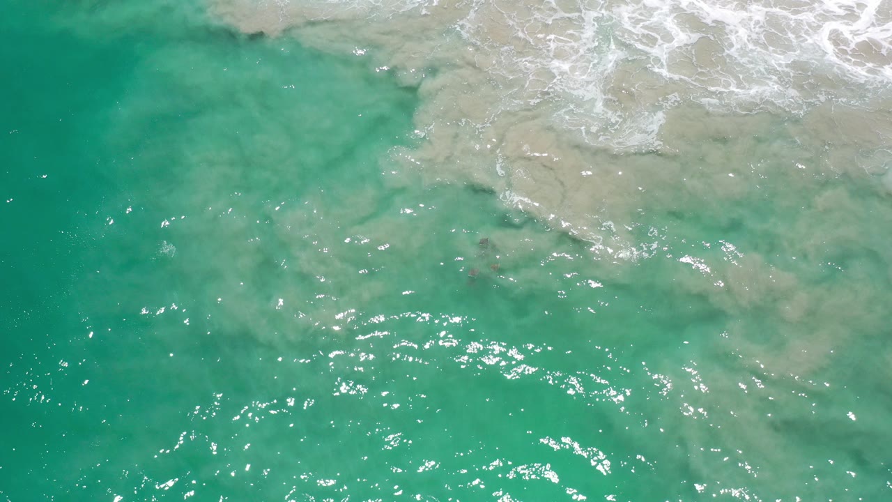 Turquoise ocean water with white surf foam along the upper edge.