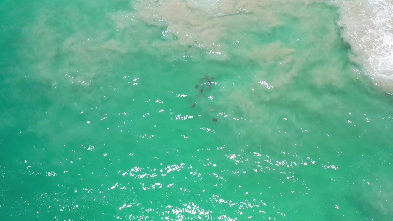 Overhead view of turquoise-green water in Los Cabos, Mexico, with pale sandy wash near the top, white foam at the upper right, sun reflections, and no visible people.