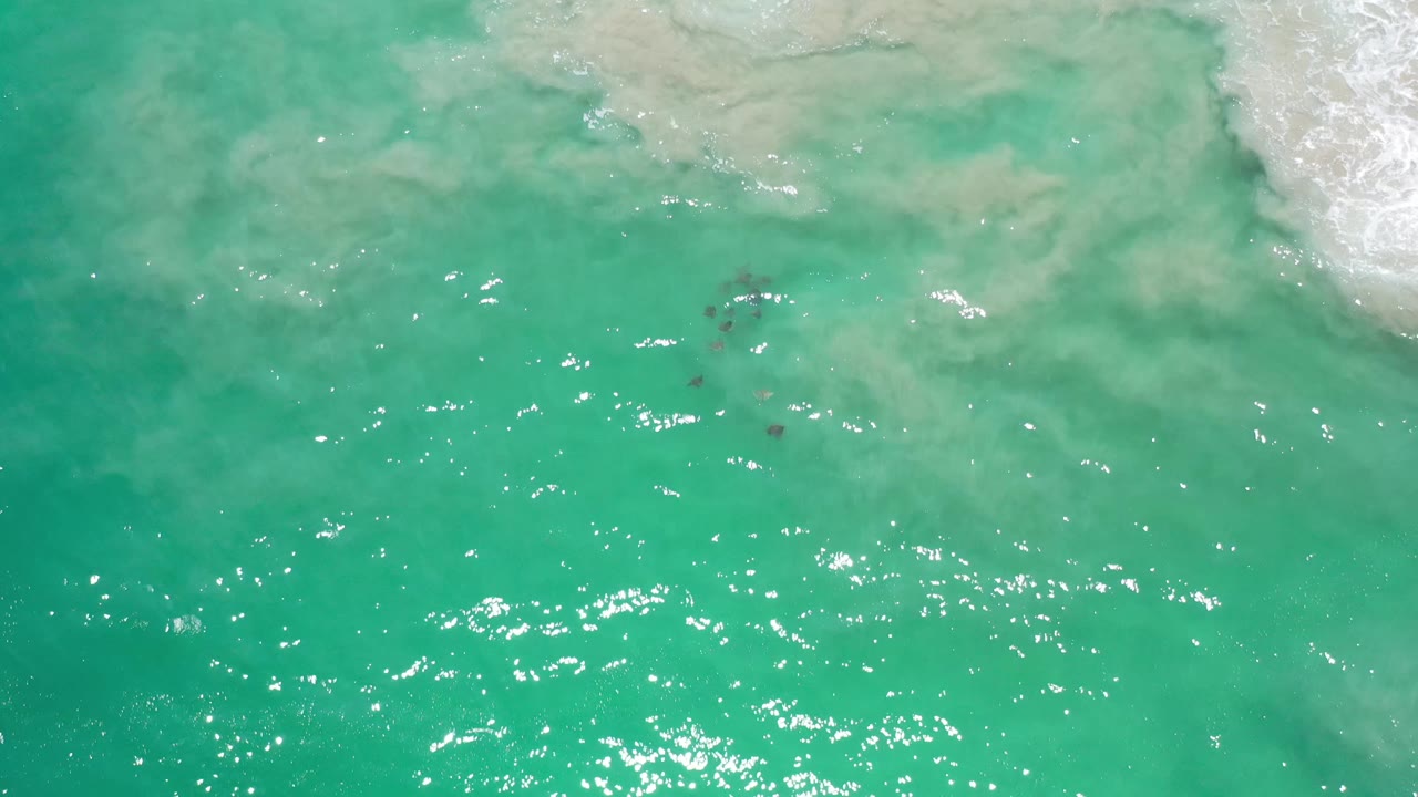 Aerial frame from Los Cabos, Mexico, showing green ocean water, a cloudy band of stirred sand across the top, foam at the right edge, and no visible people.
