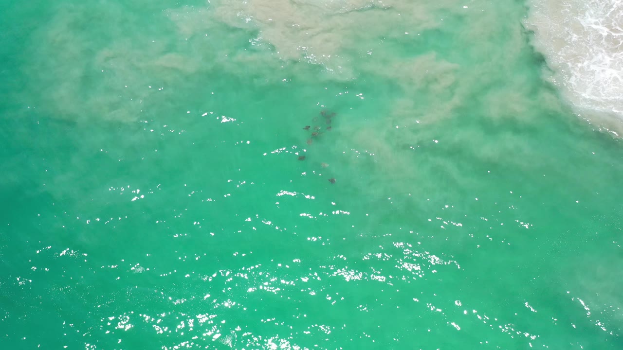 Bright green water with scattered glare and a foamy surf corner.