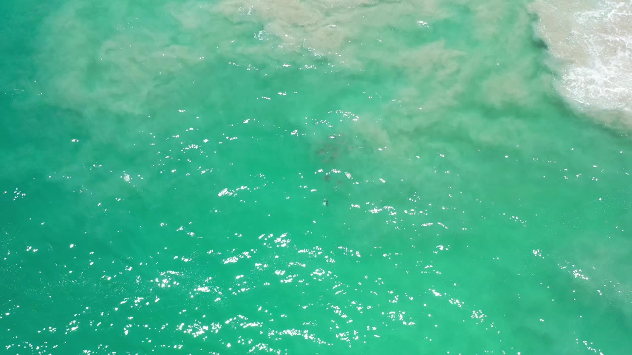 Overhead Los Cabos water view with a broad turquoise field, bright surface sparkles, and pale underwater clouding near the top, no visible people.