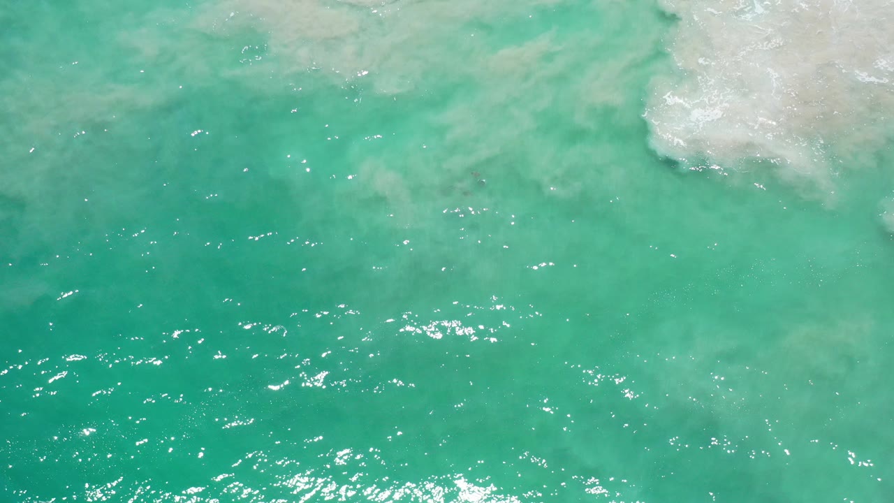Overhead view of green clear water in Los Cabos, Mexico, with bright sun reflections across the lower water and pale shallow surf near the top, no visible people.