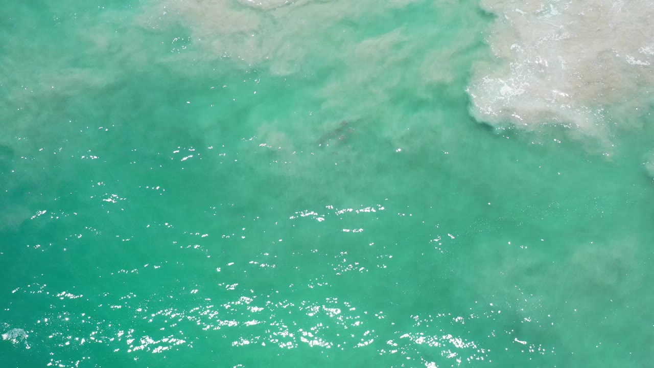 Clear green water with a brighter band of sparkle across the middle.