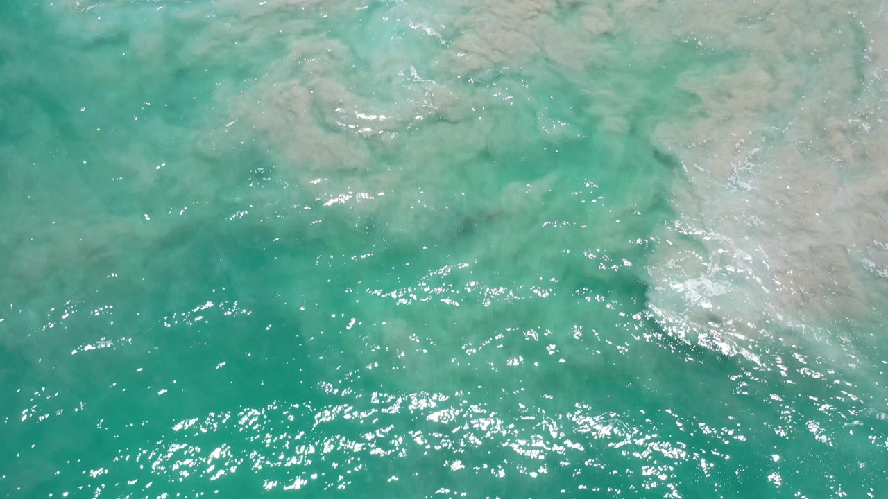 Clear shallow ocean with pale rock beneath