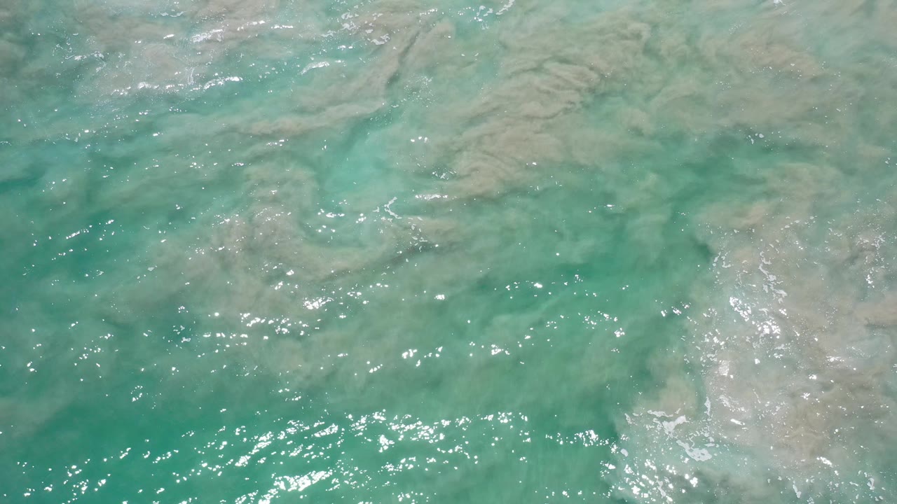 Sunlit ocean ripples over suspended sand