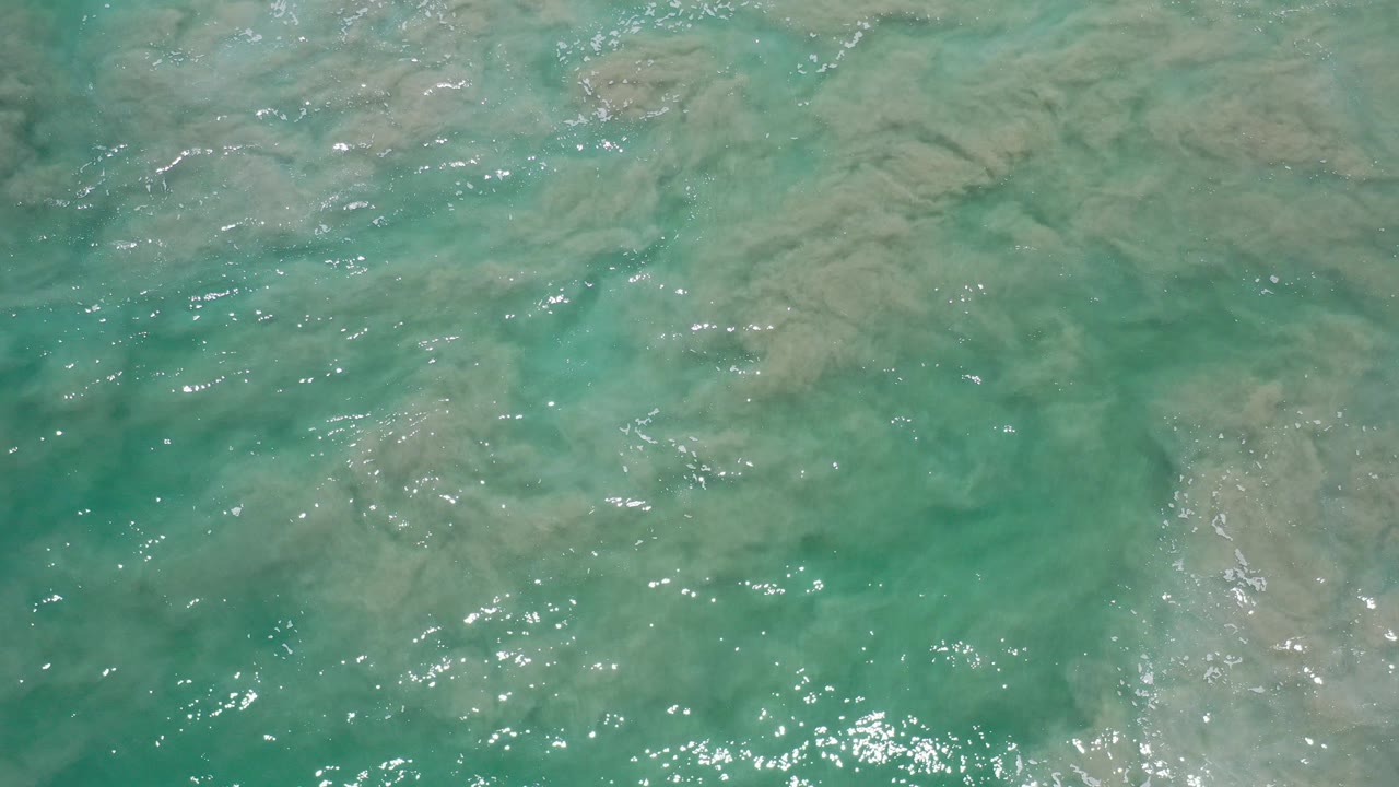 Green seawater in Los Cabos passes over pale submerged rocks with bright surface glints and no visible people.