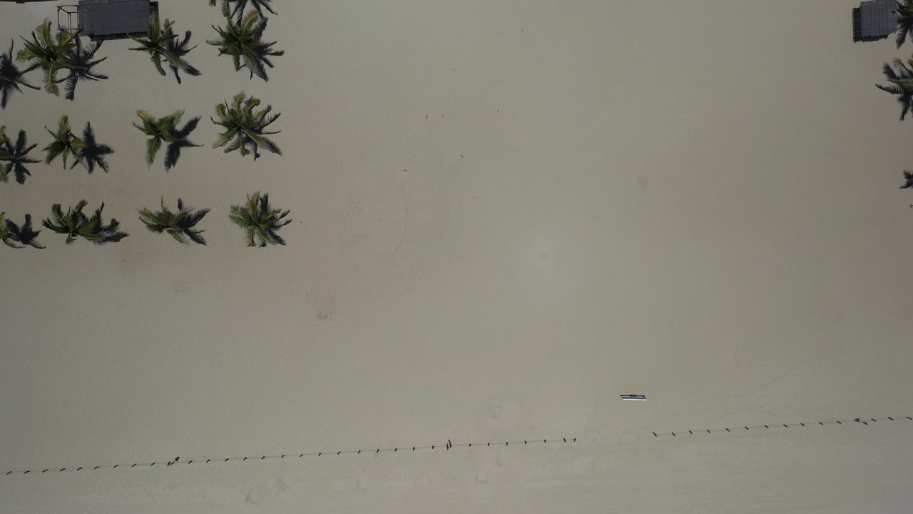 Straight-down aerial frame in Los Cabos, Mexico showing pale beach sand, scattered palm clusters, a small resort edge at the top left, and no visible people.