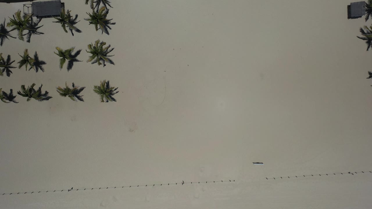 Aerial view in Los Cabos, Mexico with open sand across most of the frame, palm clusters near the top, faint beach markers near the lower edge, and no visible people.