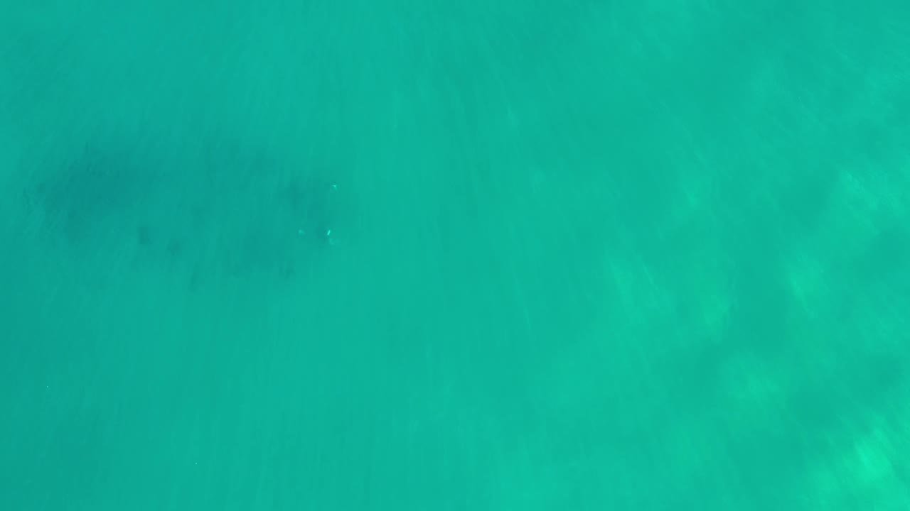 Straight overhead view of green water in Los Cabos, Mexico, with pale underwater texture and no visible people at the opening moment.