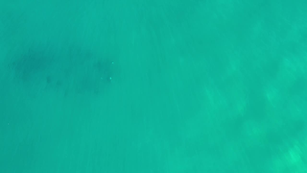 Overhead Los Cabos water frame with a broad turquoise field, subtle darker patches beneath the surface, and no visible people.