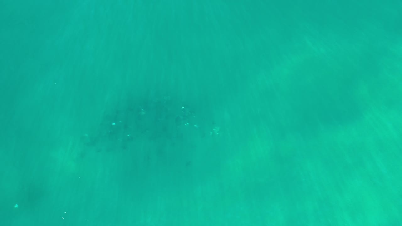 Opening underwater view in Los Cabos, Mexico, with green-blue water, faint sunlight streaks, small floating specks, and no visible people.