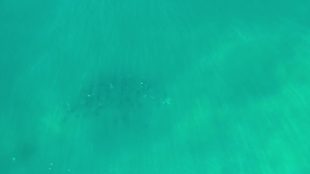 Underwater Los Cabos frame with broad turquoise-green water, darker soft patches near the top, and no visible people.