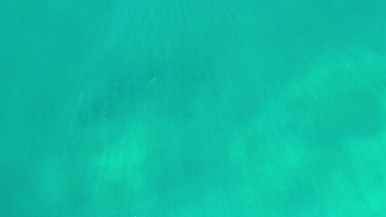 Turquoise ocean water in Los Cabos fills the first frame with faint darker shapes under the surface and no visible people.