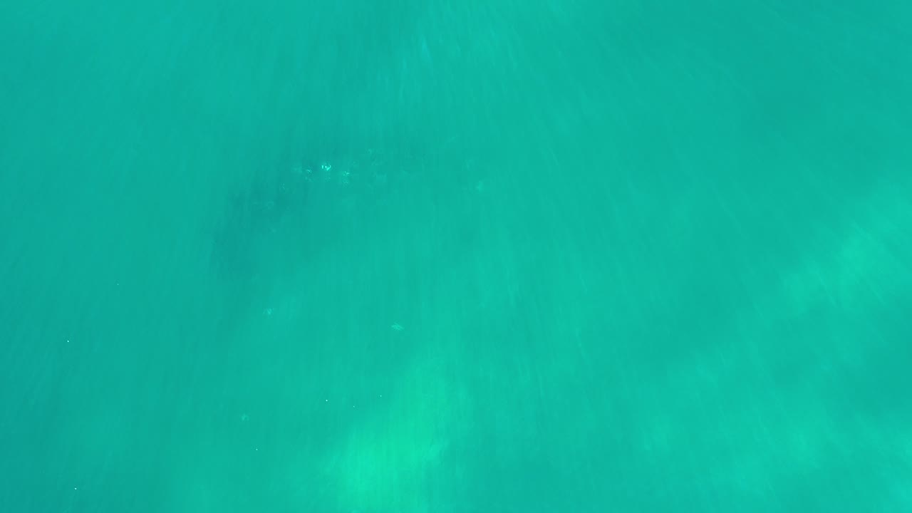 Top-down aerial frame of turquoise-green water in Los Cabos, Mexico, with diffuse lighter patches and no visible people.