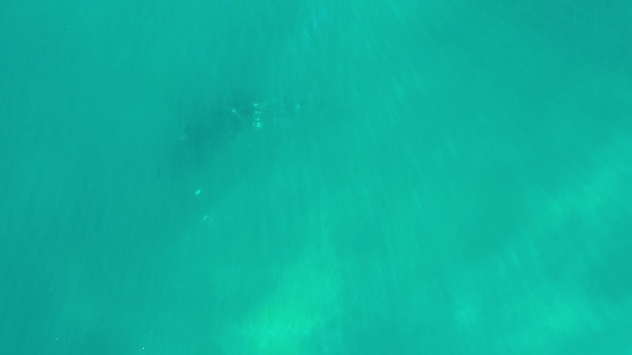 Turquoise water surface with cloudy pale green variation.