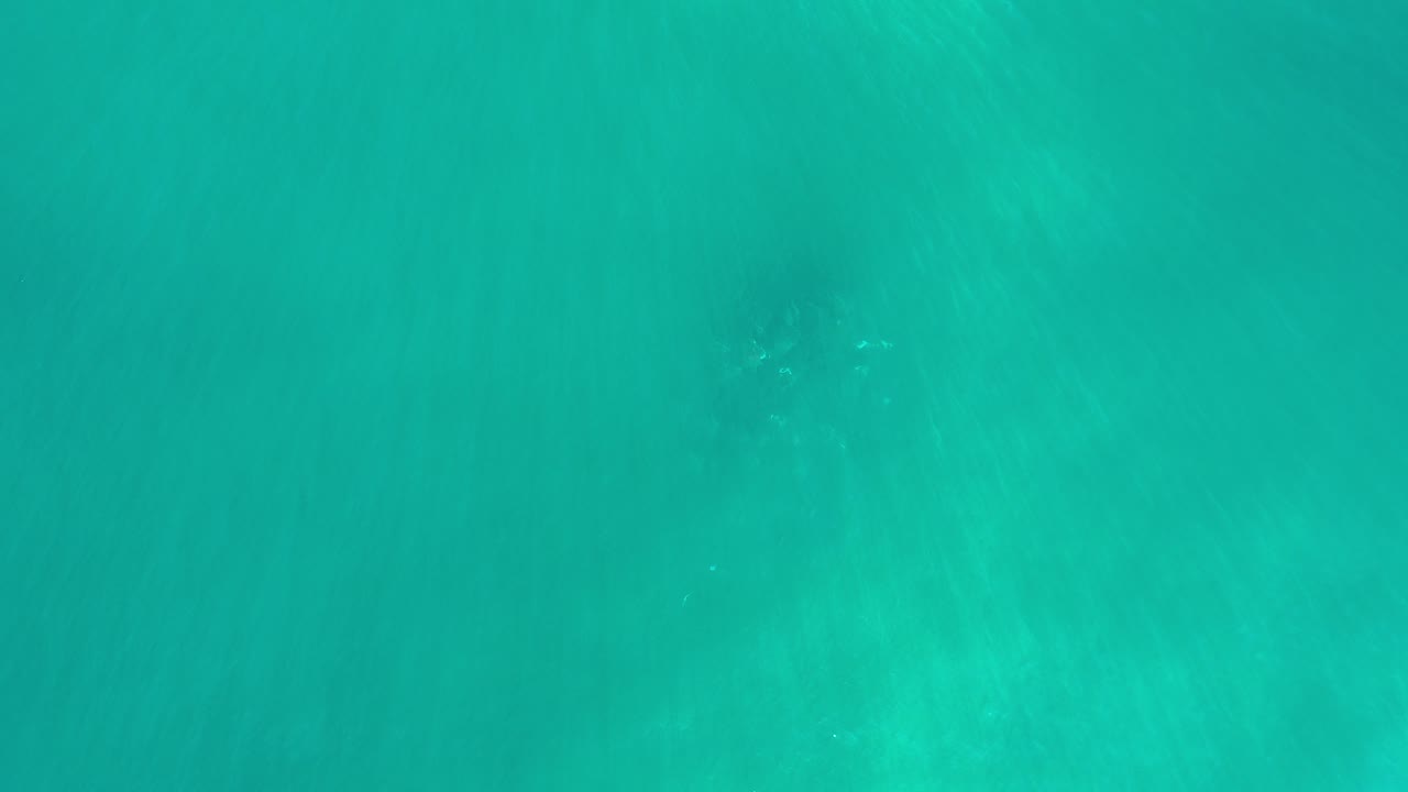 Top-down view of green-blue seawater in Los Cabos, Mexico, with soft pale underwater patches and no visible people at the start of the clip.