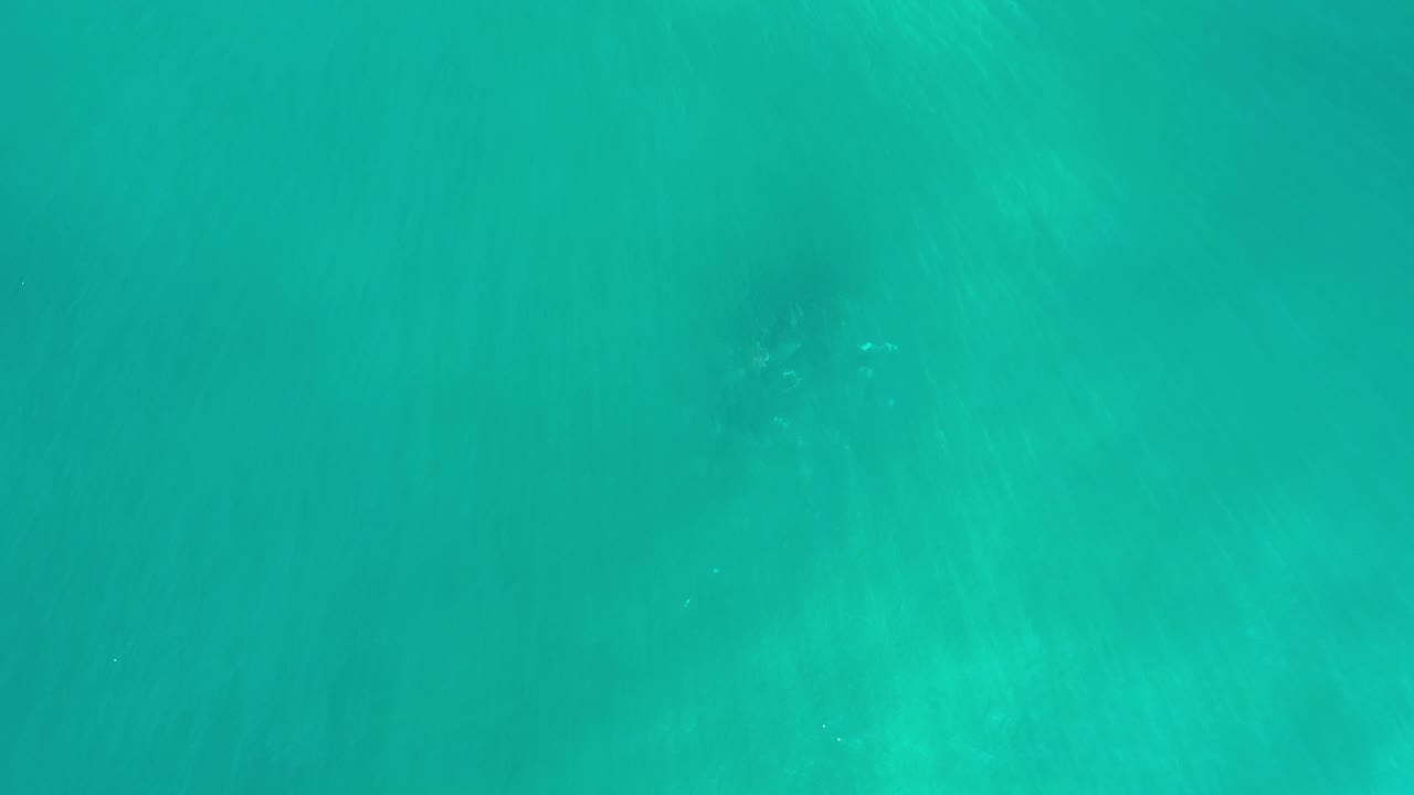 Bright green-blue sea surface in Los Cabos, Mexico, with a darker submerged patch near the upper area and no visible people.