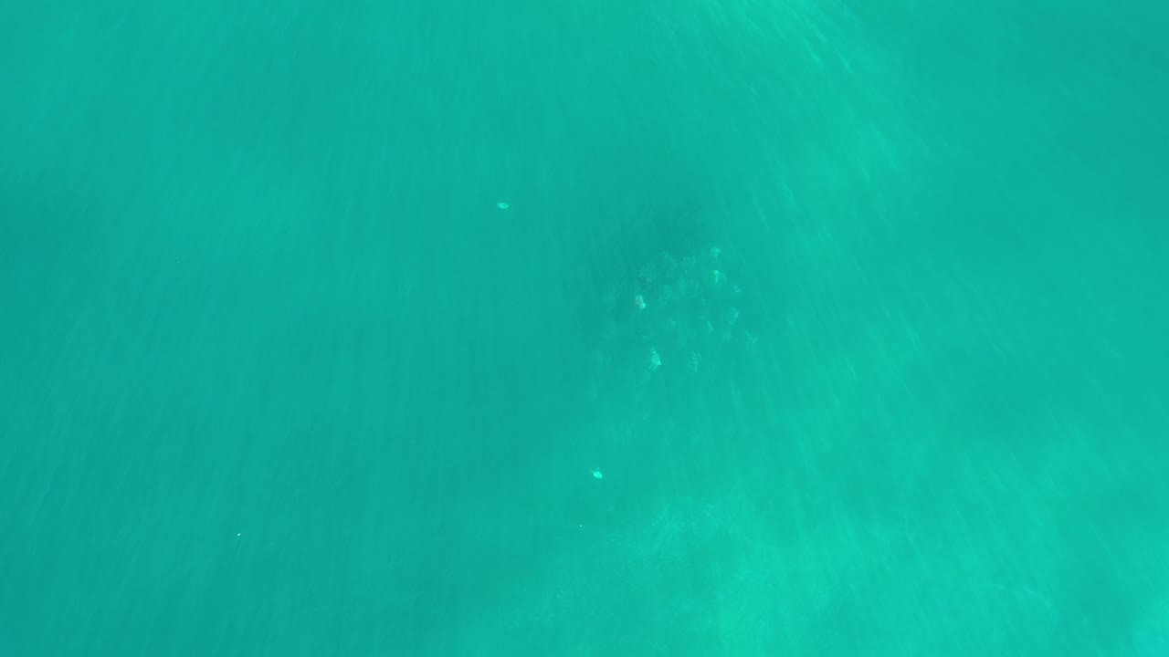 Overhead sea surface with muted underwater forms