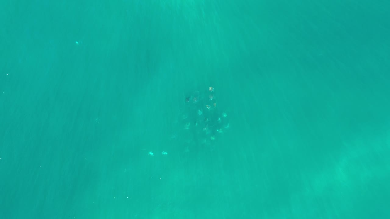 Overhead view of turquoise water with a faint school of fish near the upper left.