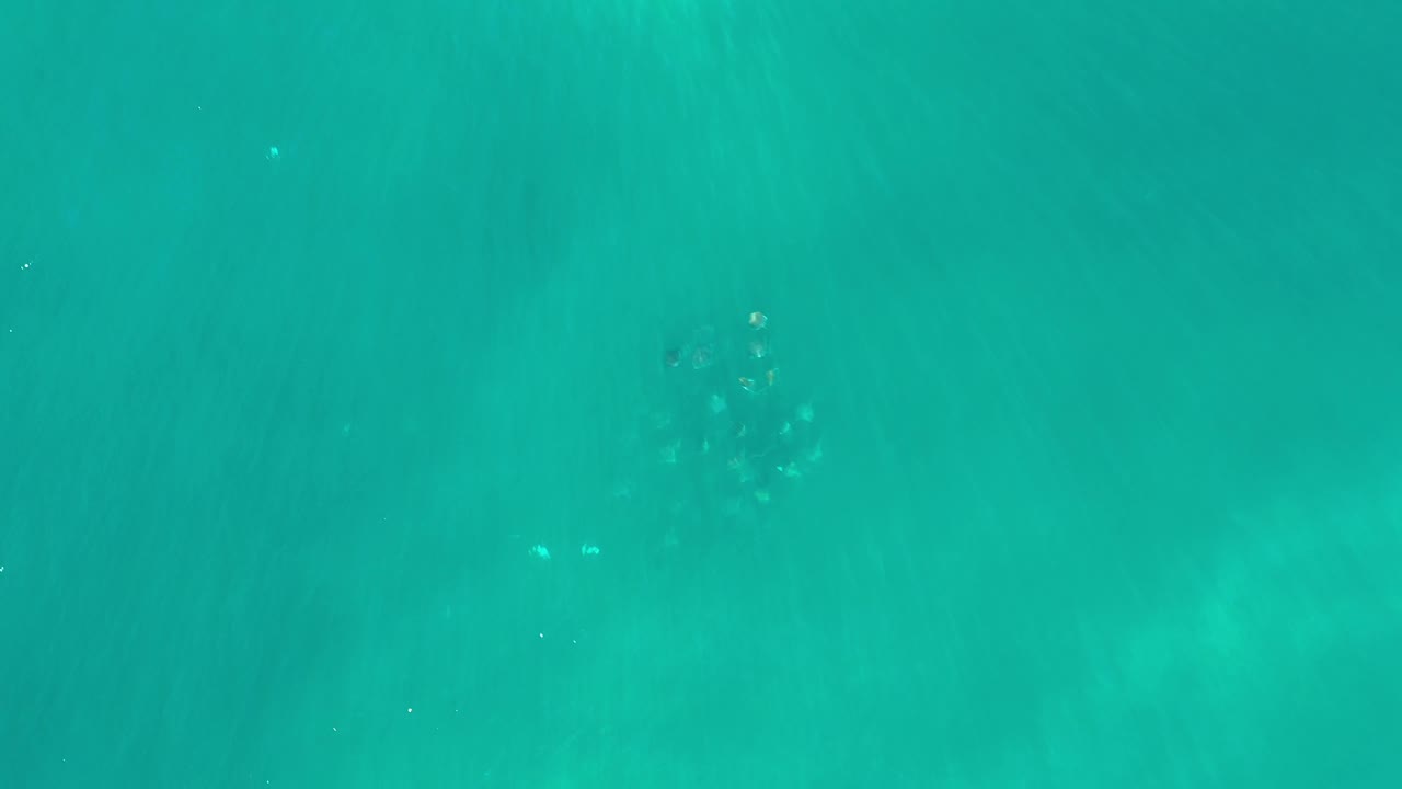 Clear green-blue water in Los Cabos with a compact school of small fish near the upper left and soft light patterns under the surface, with no visible people.