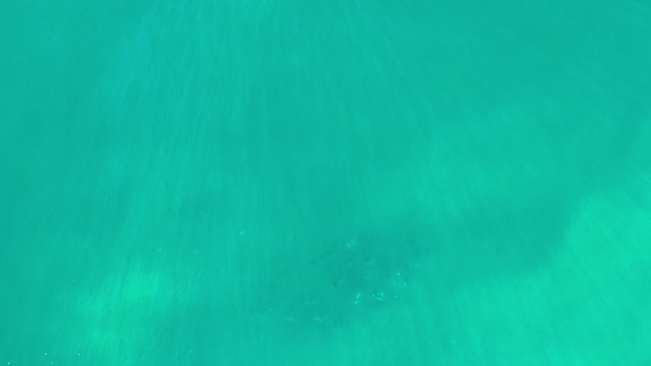 Overhead view of greenish blue water in Los Cabos, Mexico, with soft darker patches under the surface and no visible people.