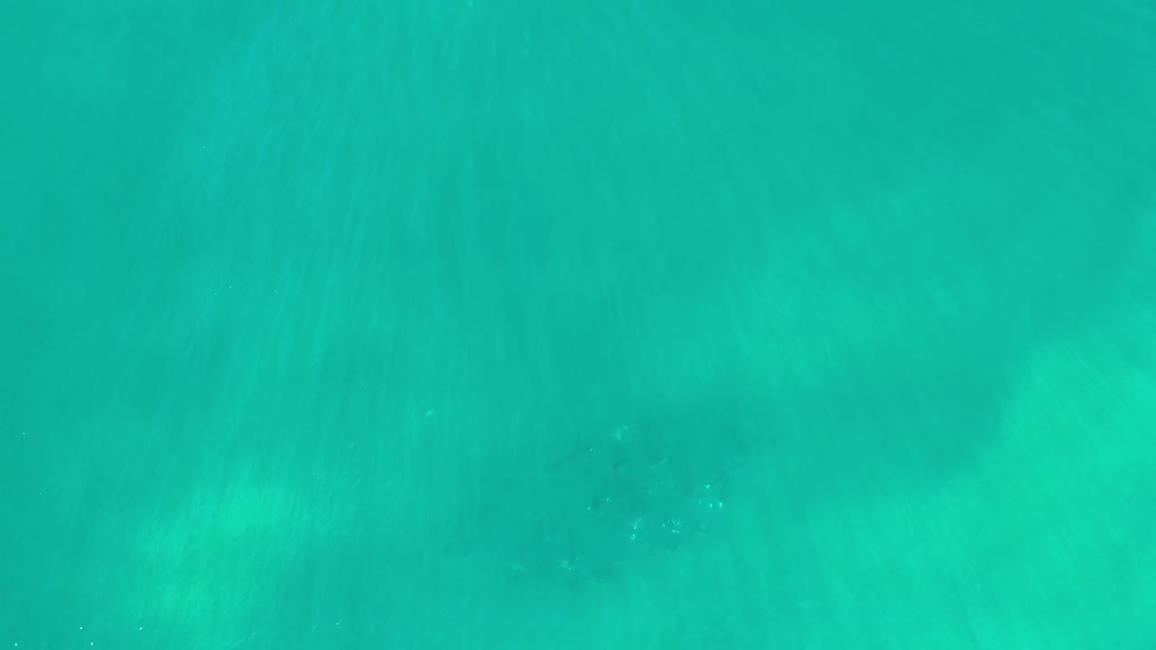 Greenish blue Los Cabos water fills the frame with pale vertical streaking, faint surface glints, and no visible people.