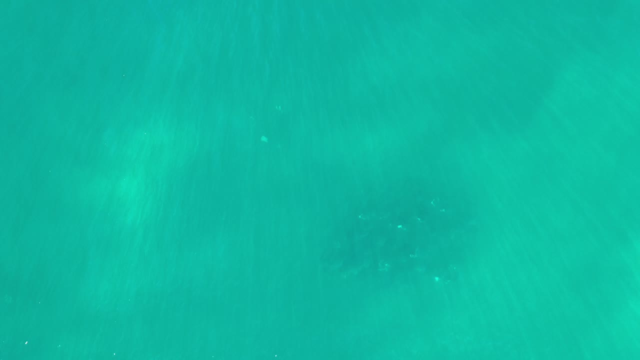 Opening frame of Los Cabos underwater footage showing turquoise water, soft vertical light streaks, and faint dark fish clusters with no visible people.