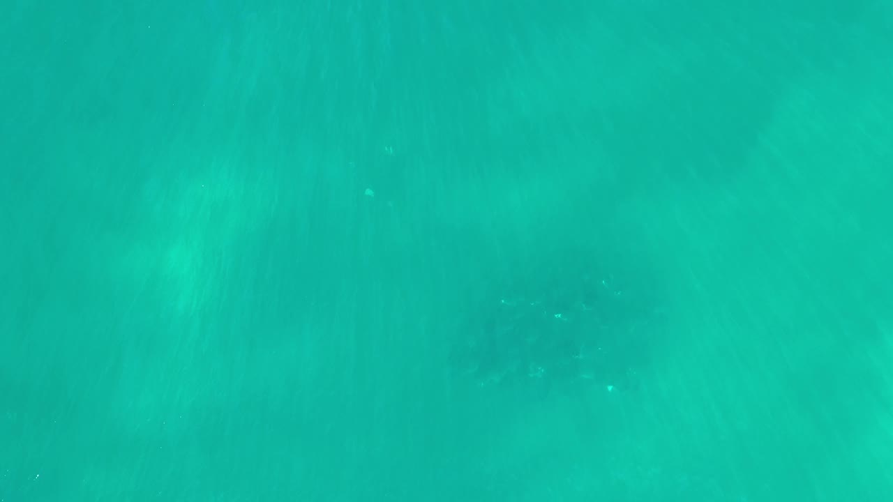 Los Cabos underwater frame with blue-green water, diffuse surface glow, and a small cluster of dark fish shapes near the lower left, no visible people.