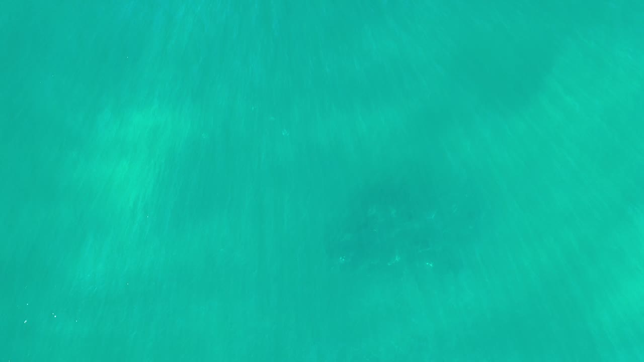 Underwater turquoise field with dim fish silhouettes and filtered light.