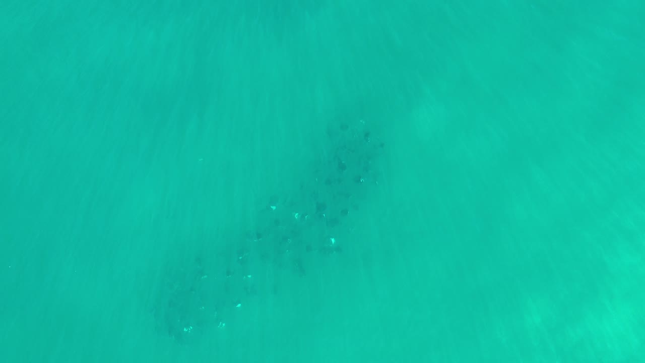 Overhead view of shallow green water in Los Cabos, Mexico, with soft ripples and a dark rocky or aquatic-growth patch beneath the surface, no visible people.