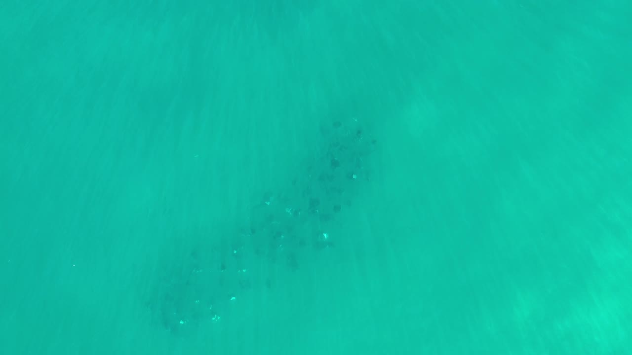 Straight-down aerial frame of Los Cabos shallow green water, where faint current lines pass over a darker bottom patch near the center-left, no visible people.