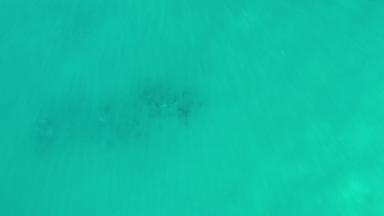 Overhead view of green ocean water near Los Cabos, Mexico, with a faint submerged whale form near the upper area and no visible people.