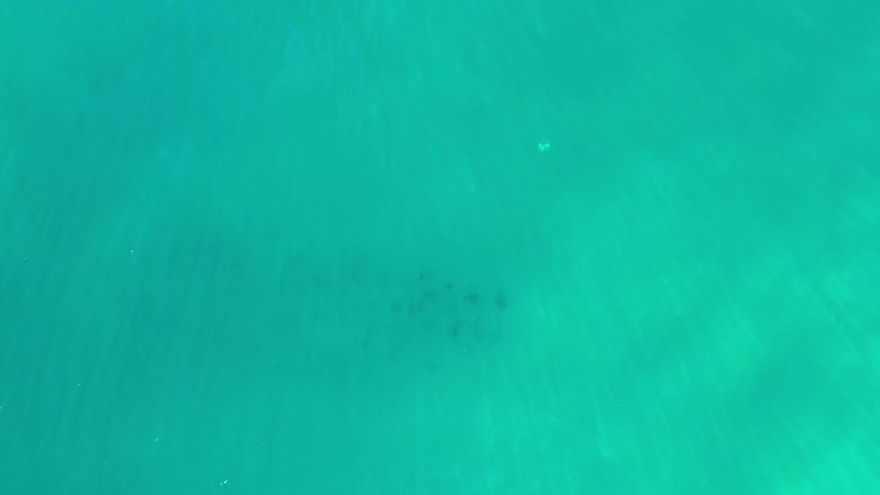 Aerial frame of Los Cabos ocean water with broad teal color, soft sunlit variation, and no visible people or boats.