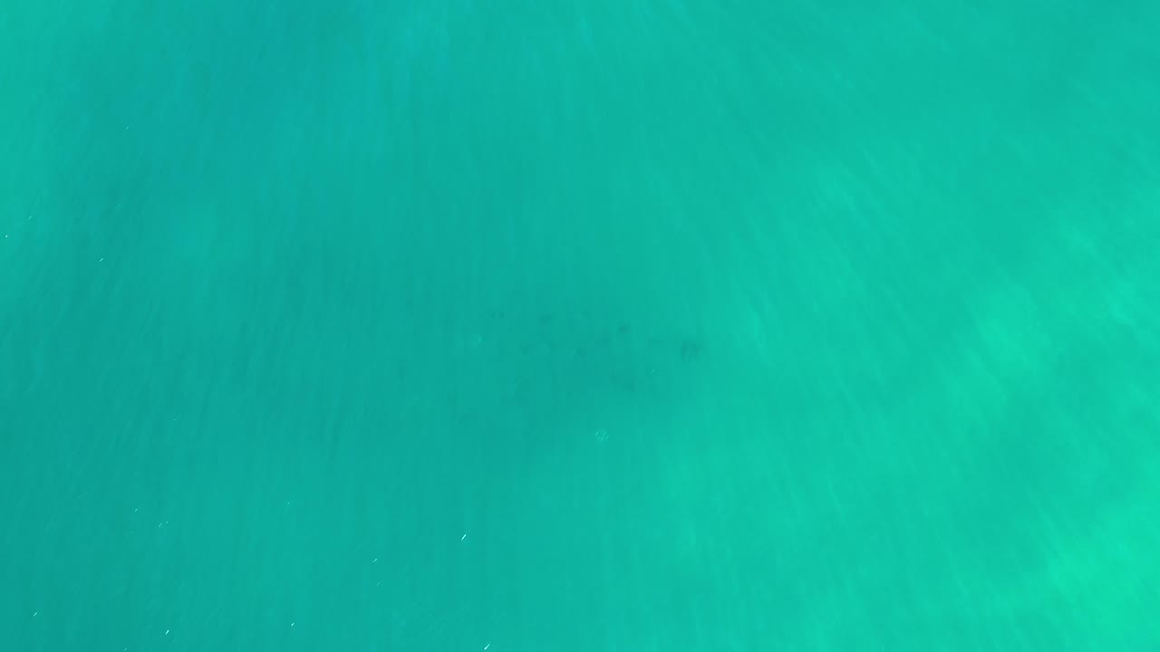 Teal ocean water with pale surface streaks.