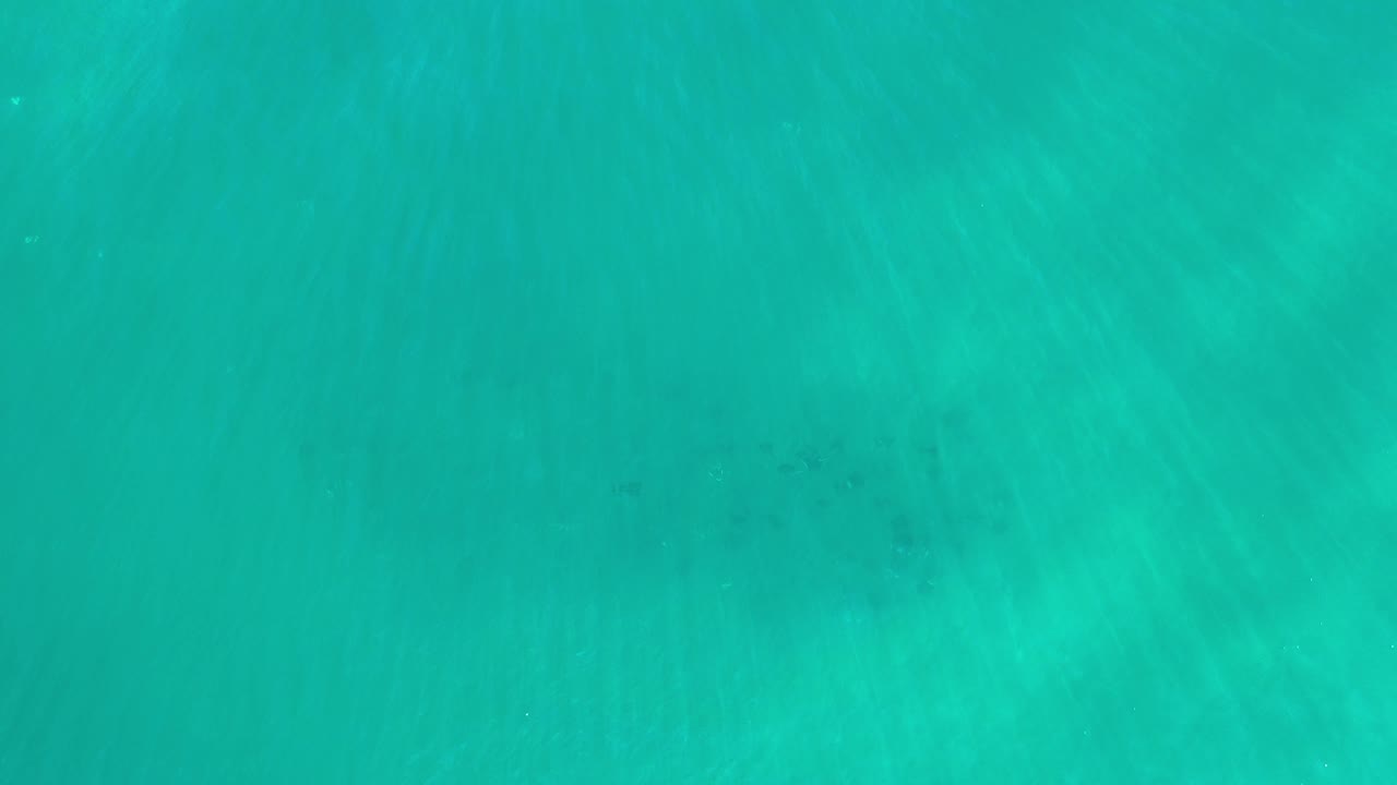 Turquoise water with faint fish shapes near the lower area.