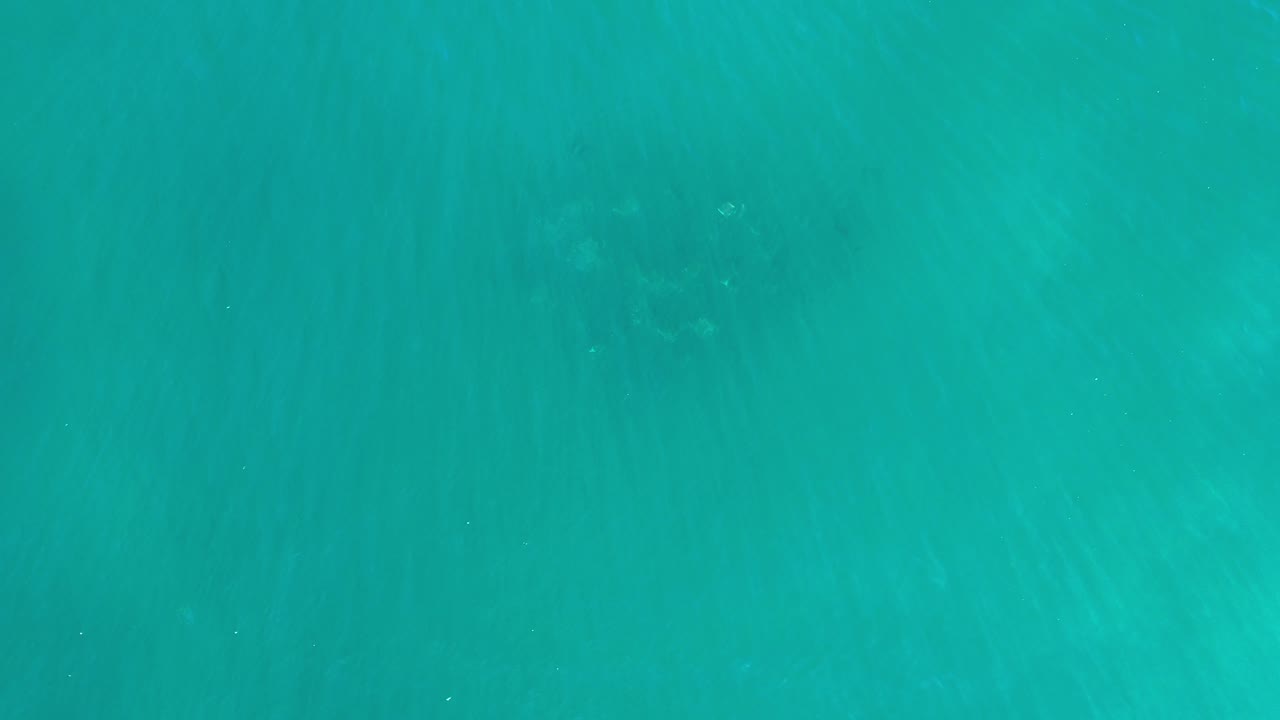 Turquoise underwater view with faint streaks and small specks.