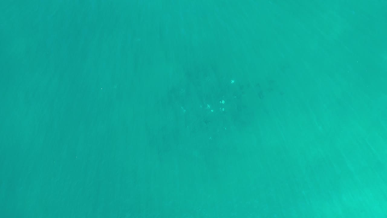 Turquoise ocean water filling the frame