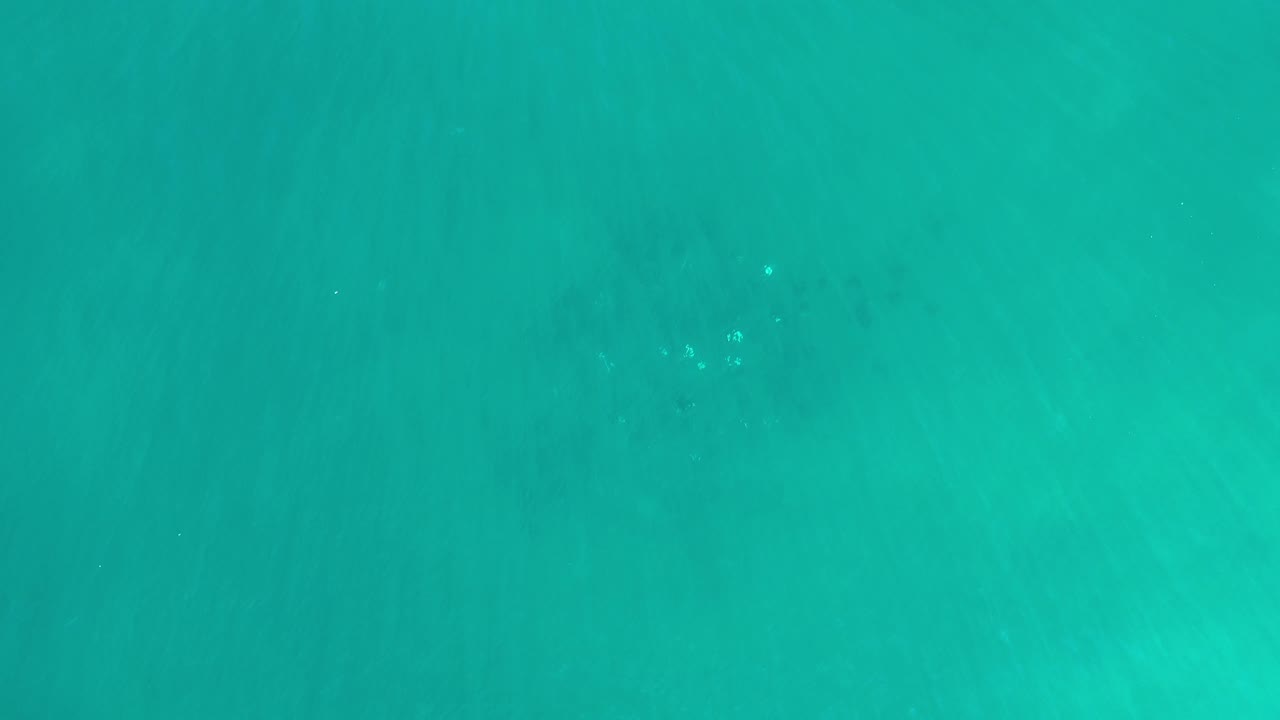 Blue-green sea water in Los Cabos fills the frame, with slightly darker patches and no visible people.