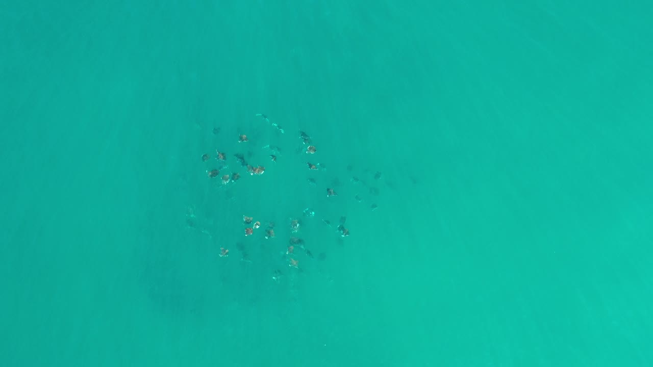 Top-down view of turquoise-green water in Los Cabos, Mexico, with scattered dark underwater clusters near the upper-left area and no visible people.
