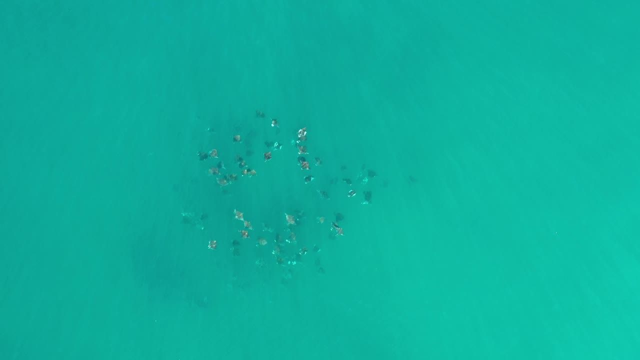 Green ocean water with a small scattered underwater cluster near the top.
