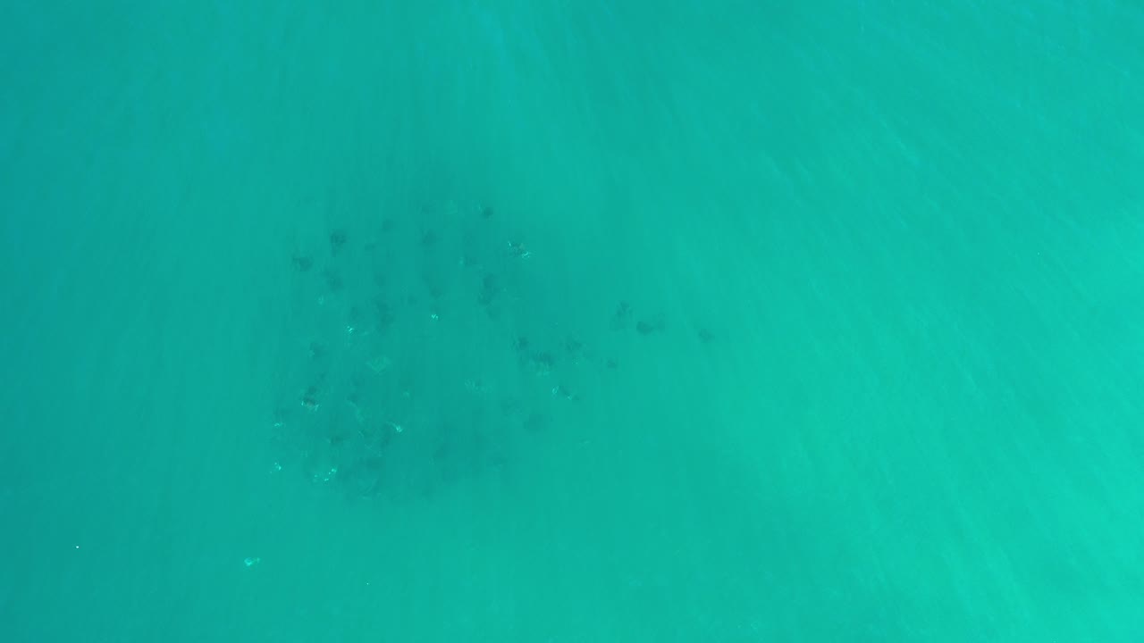 Turquoise underwater view in Los Cabos, Mexico, with soft light streaks, faint dark fish or reef shapes in the distance, and no visible people.
