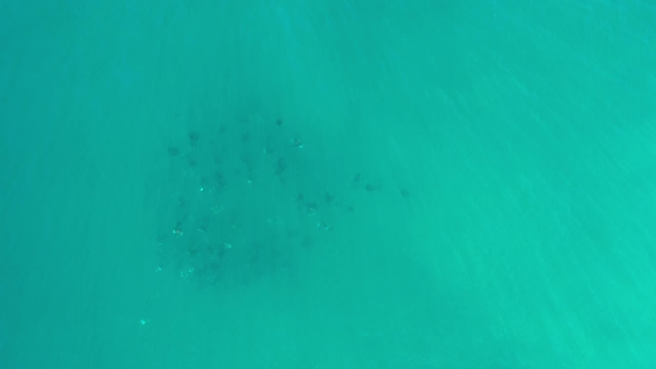 Blue-green underwater frame from Los Cabos, Mexico, with broad pale light bands crossing the water and no visible people.