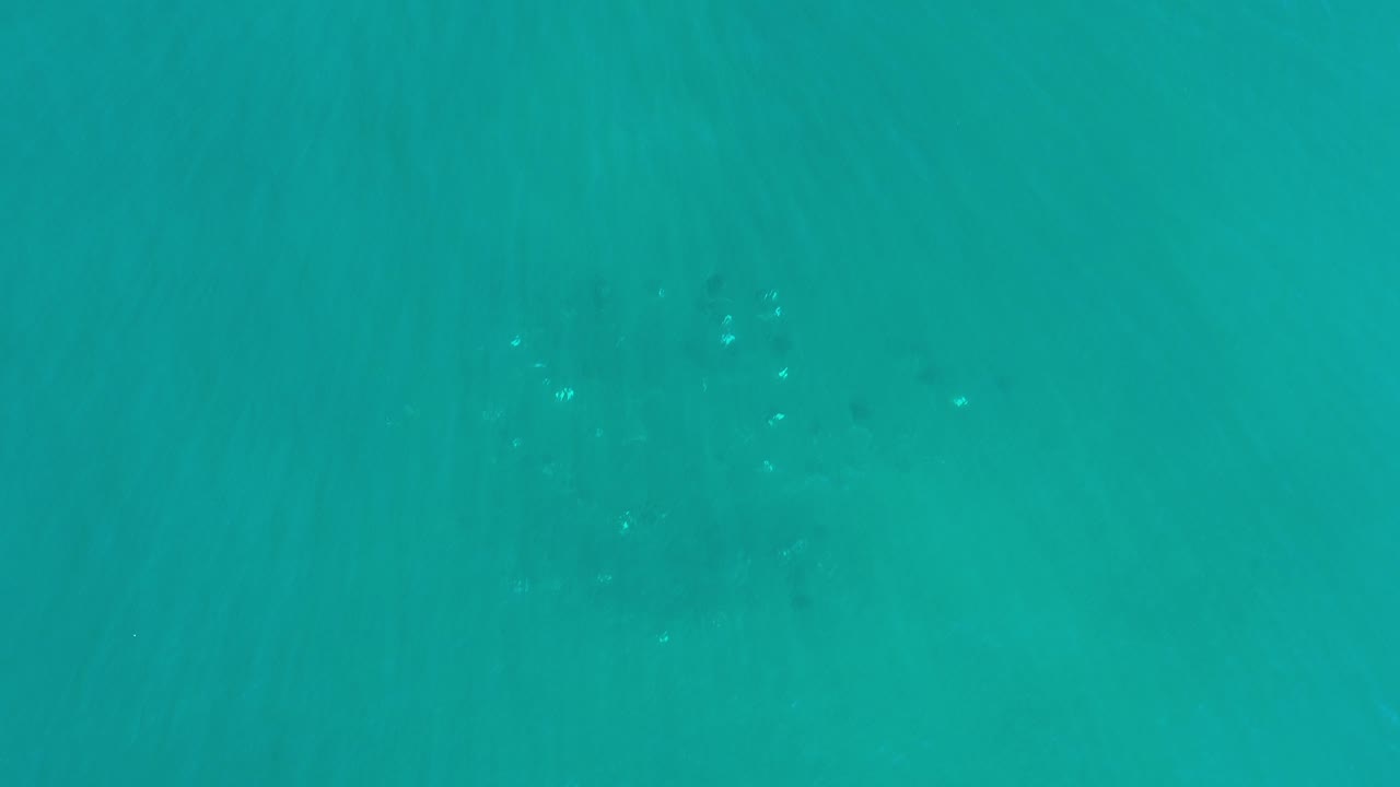 Top-down view of green-blue ocean water in Los Cabos, Mexico, with faint darker streaks under the surface, scattered white reflections, and no visible people.
