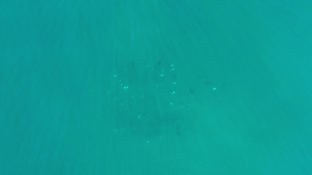 Clear green ocean water in Los Cabos, Mexico, fills the frame with soft horizontal wave bands, sparse bright highlights, and no visible people.