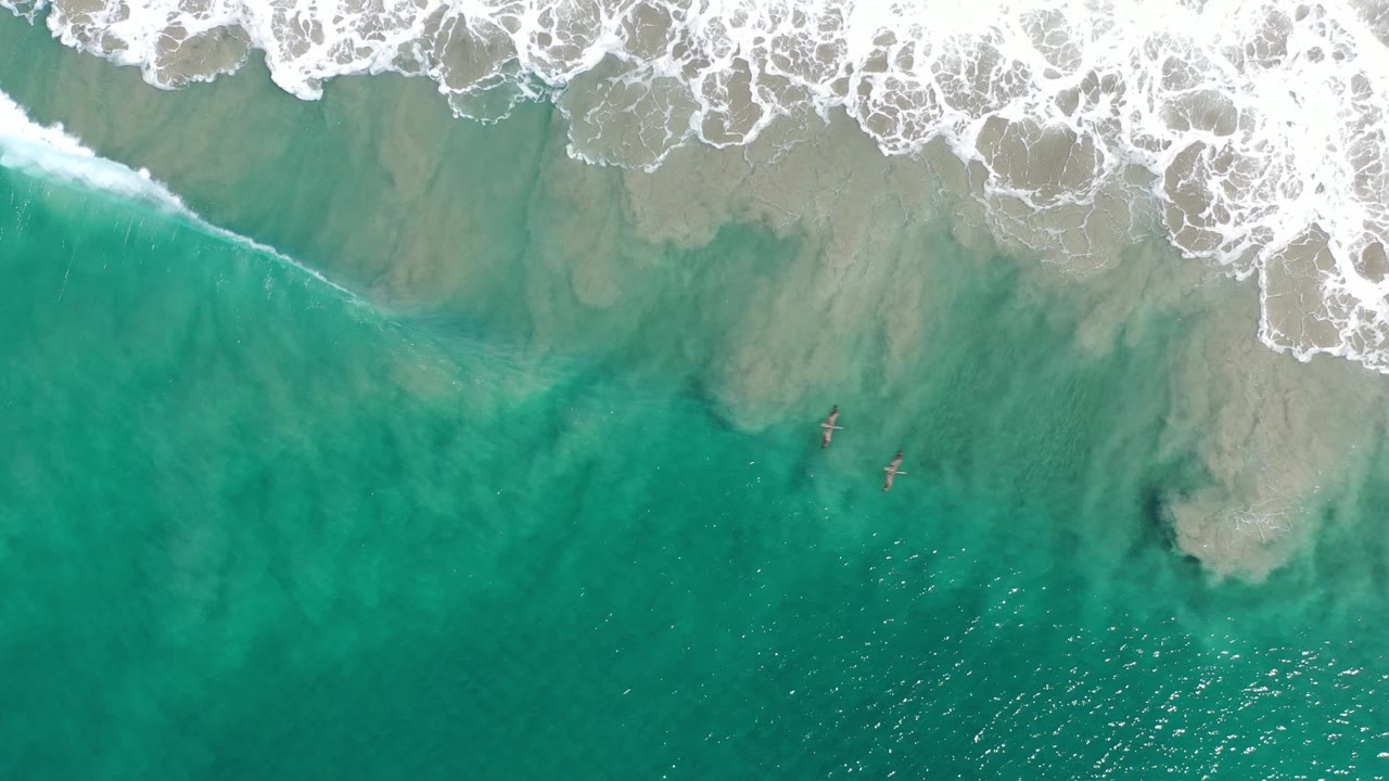 Overhead green ocean water with white foam at the shoreline.