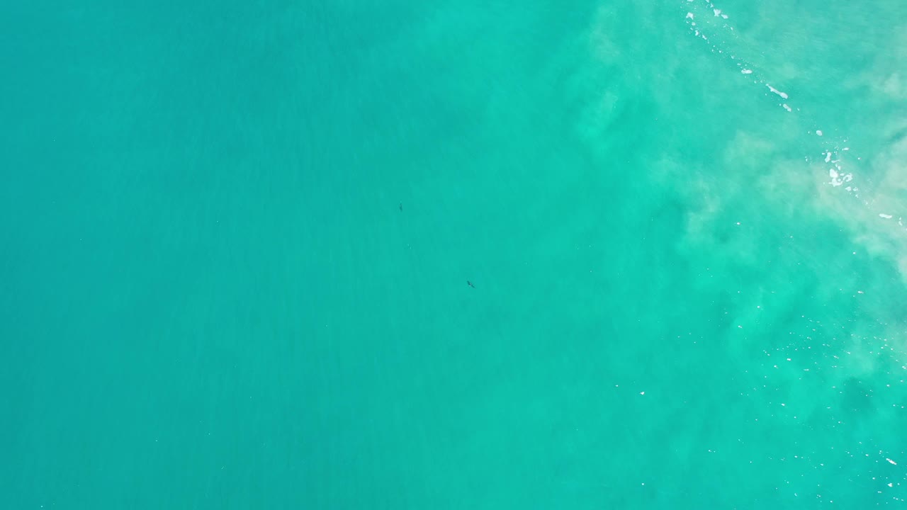 Overhead view of turquoise-green seawater in Los Cabos, Mexico, with pale sandy clouding under the surface near the upper right and no visible people.