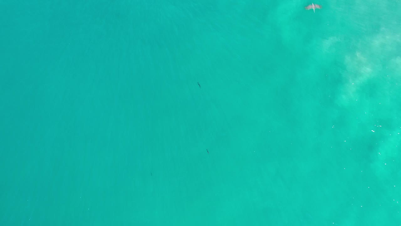 Overhead view of green-blue sea water in Los Cabos, Mexico, with pale submerged surf patterns near the center and no visible people.